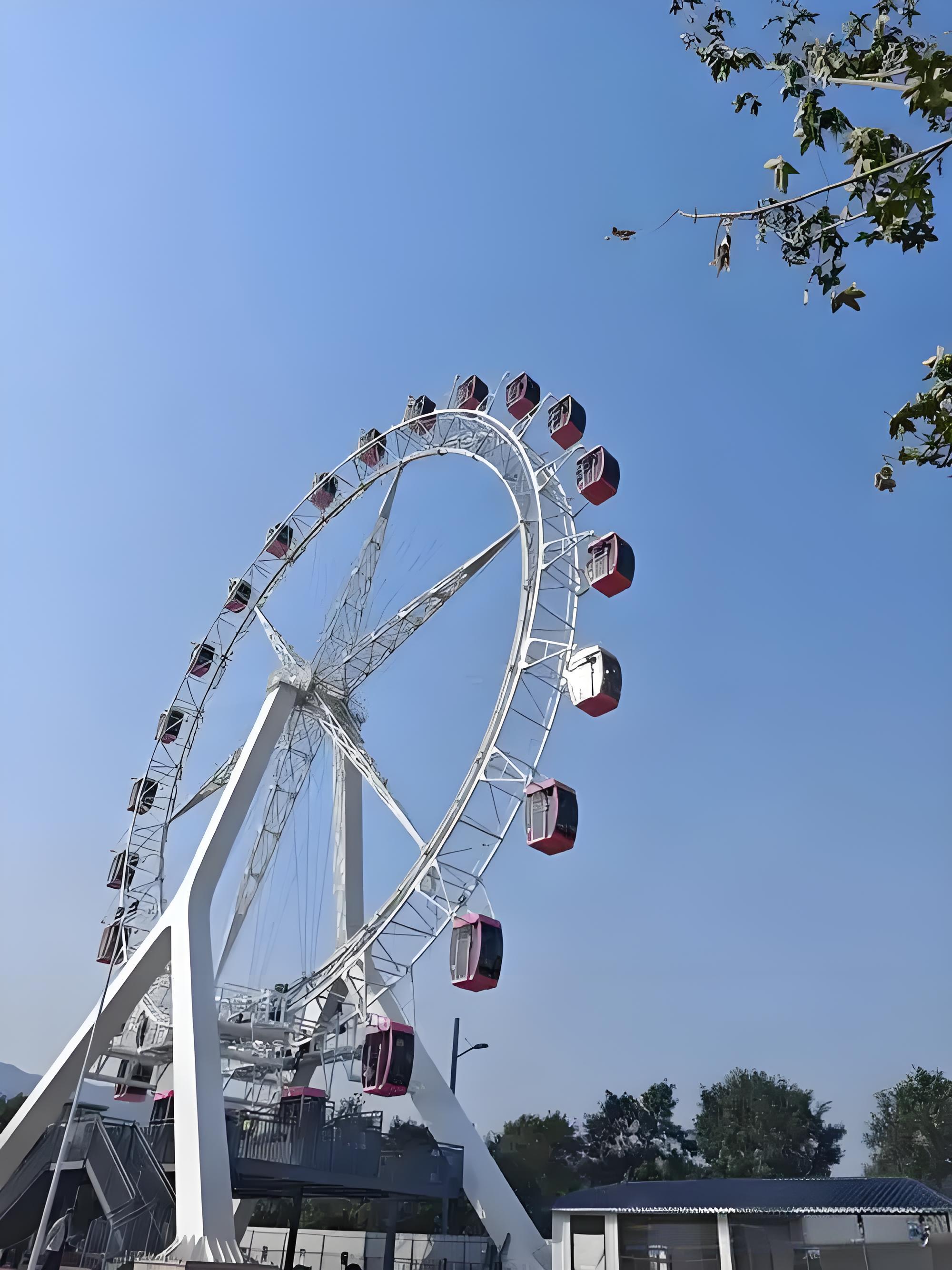 Title: Exploring the Differentials between Bookings for a Ferris Wheel-1